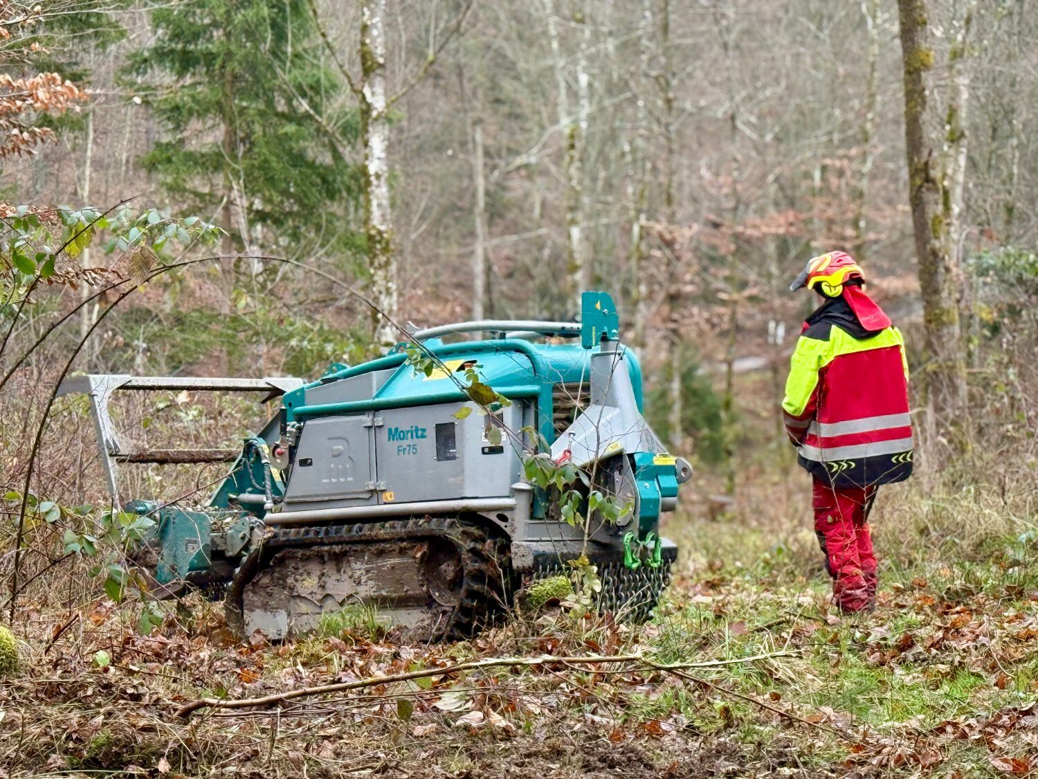 Ferngesteuerte Forstraupe Moritz FR 75 mit Forstmulcher im Wald, daneben der Bediener mit Funksteuerung